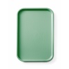 Fastfooddienblad polypropyleen GN 1/1, AmerBox, GN 1/1, Groen, 530x325x(H)20mm
